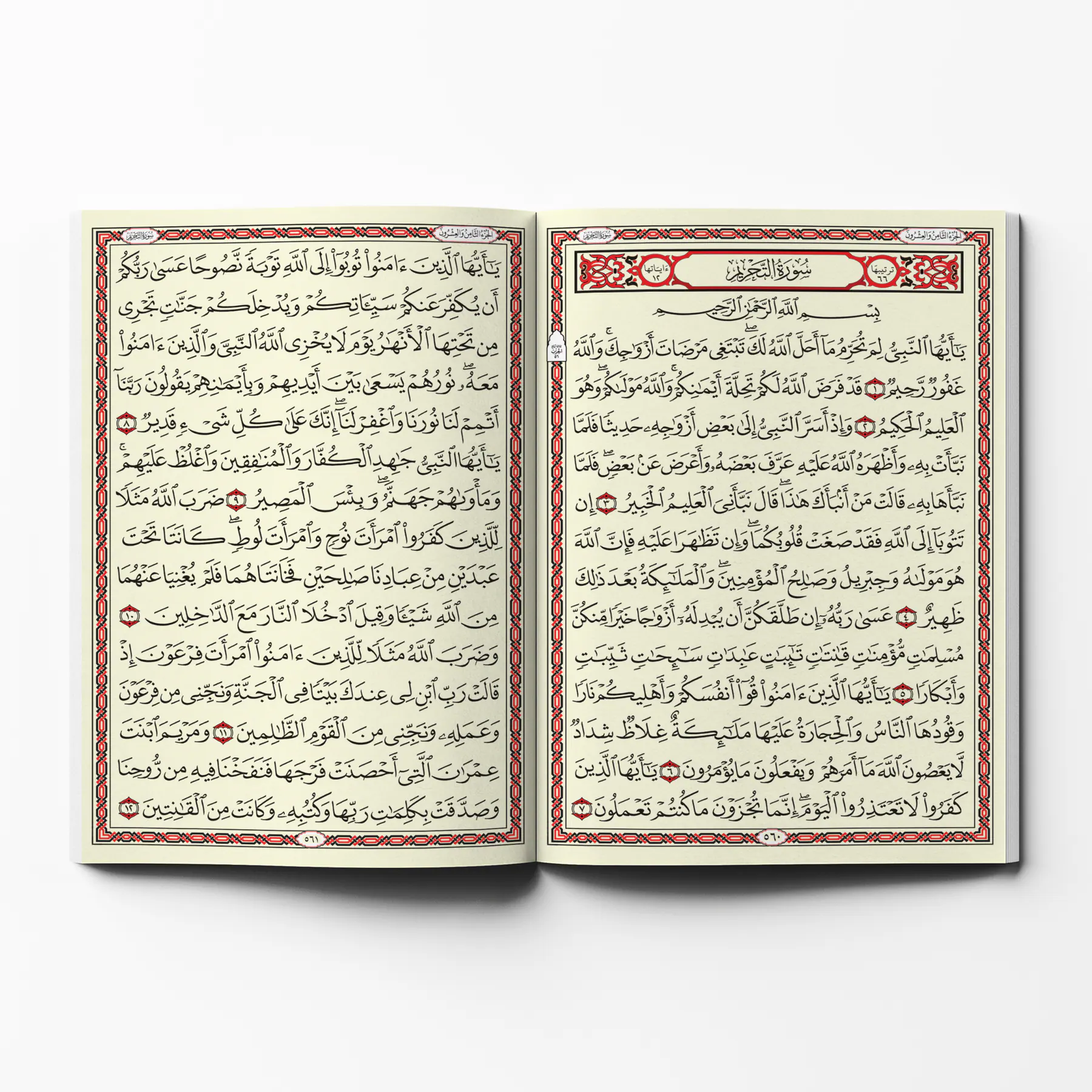 معاينة من داخل الكتاب